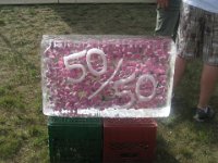 Rock for the Cure July 18, 09 100